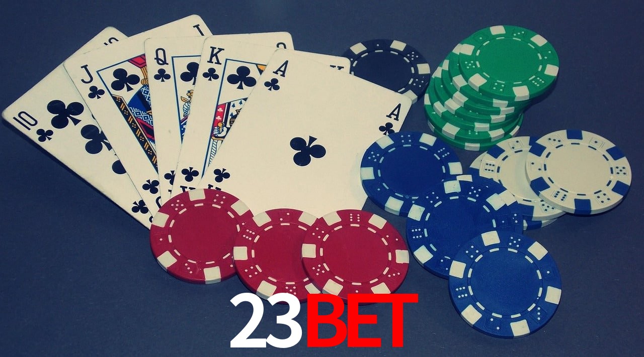 Player Reviews 23bet